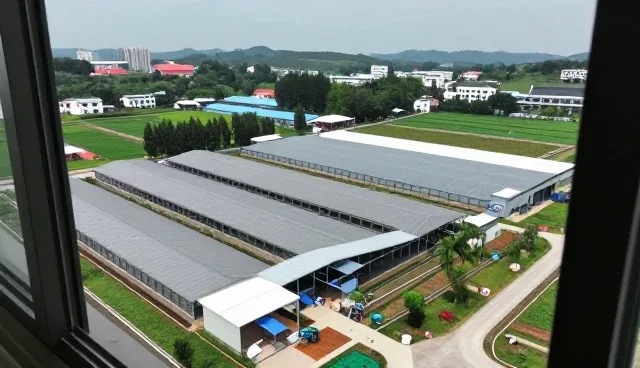 农产品收购全流程中渠道客户的协同优化策略